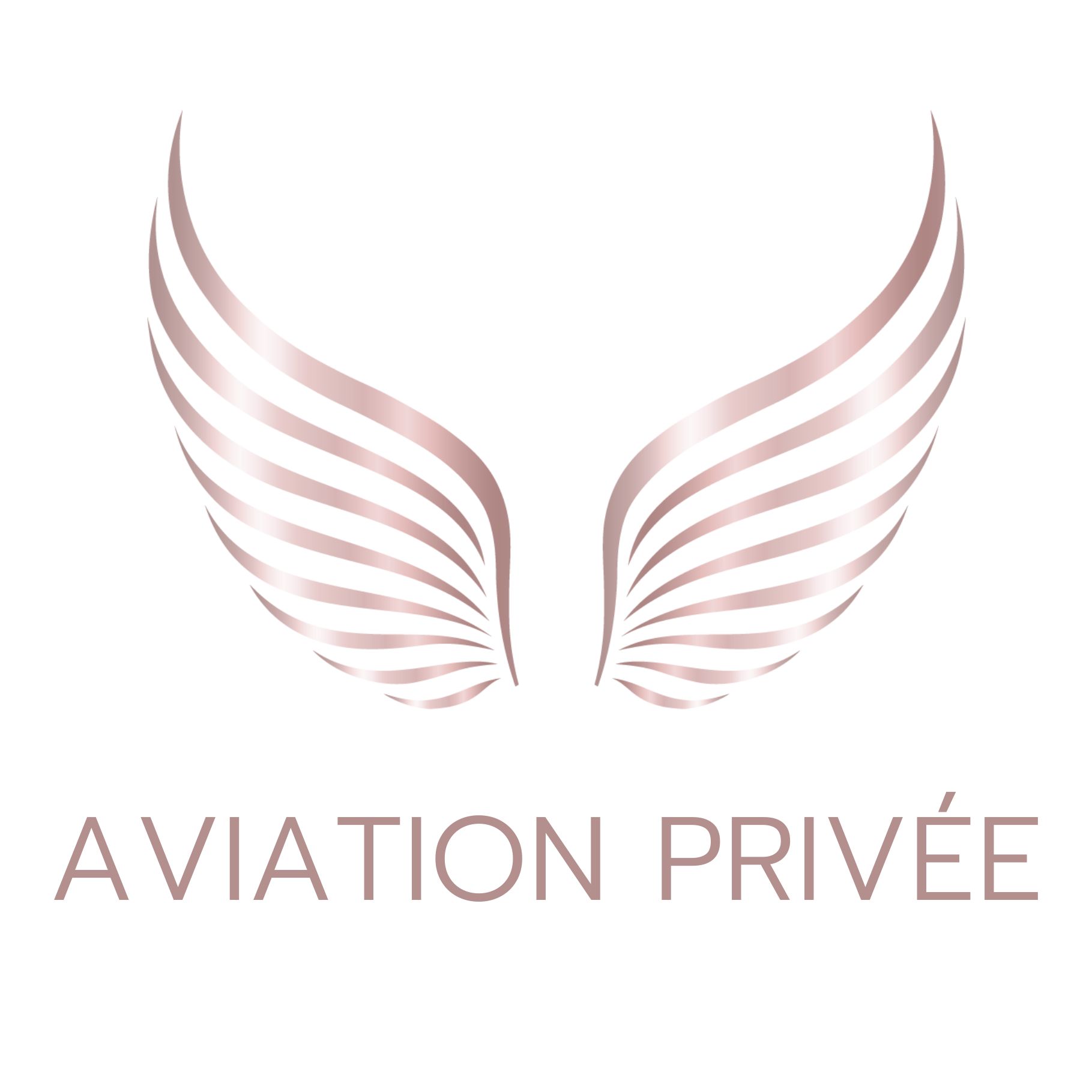 Aviation Privée